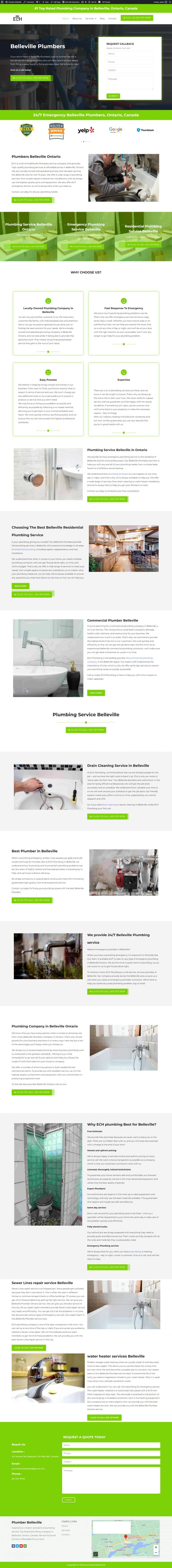 plumbersinbelleville.com